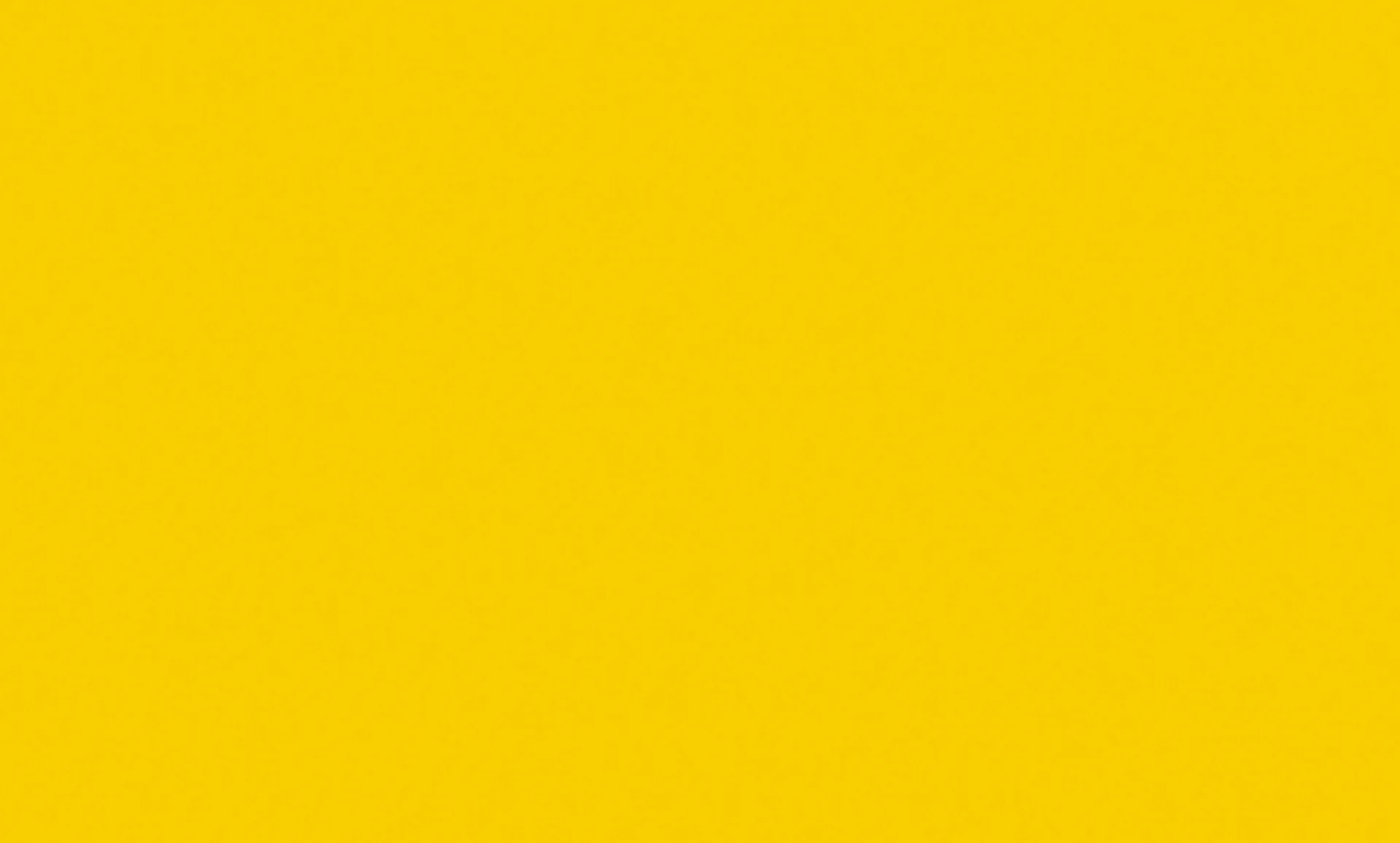 Solid Sunflower (N) SS042 – Image 2